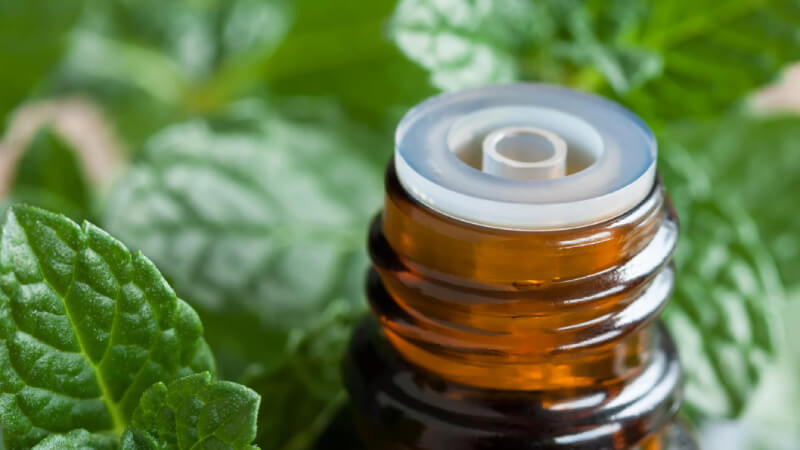 cách làm tinh dầu bạc hà