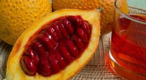 cách làm tinh dầu gấc