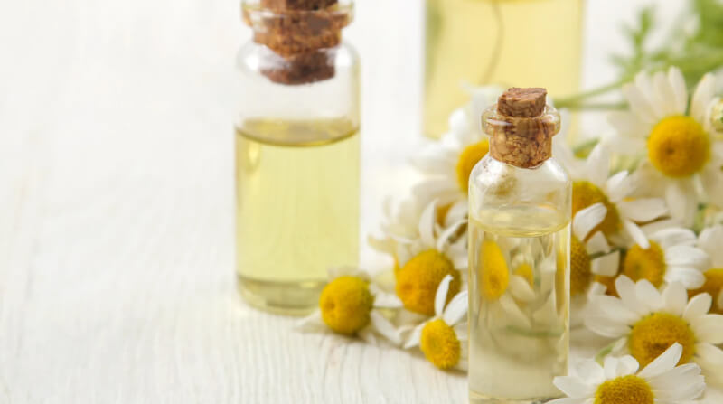 cách làm tinh dầu hoa cúc