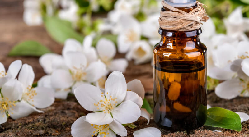 cách làm tinh dầu hoa nhài