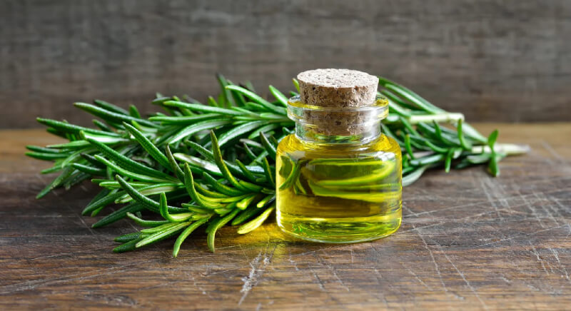 cách làm tinh dầu hương thảo tại nhà