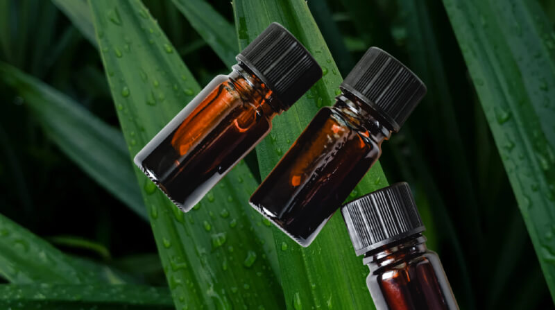cách làm tinh dầu lá dứa