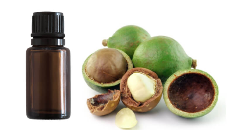 cách làm tinh dầu mù u