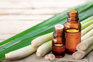 cách làm tinh dầu sả