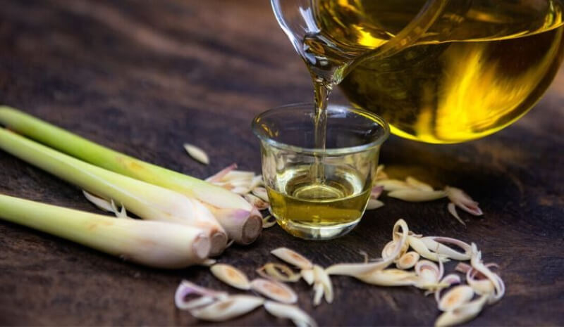 hướng dẫn cách làm tinh dầu sả