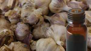 cách làm tinh dầu tỏi