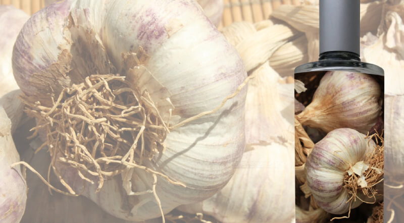 cách làm tinh dầu tỏi