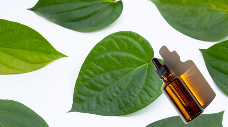 cách làm tinh dầu trầu không