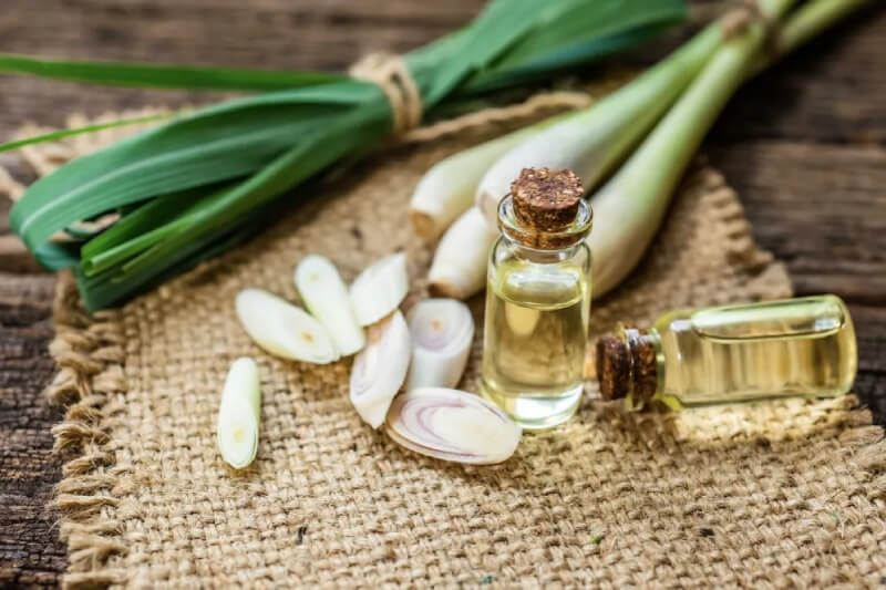 cách làm tinh dầu sả nhanh nhất