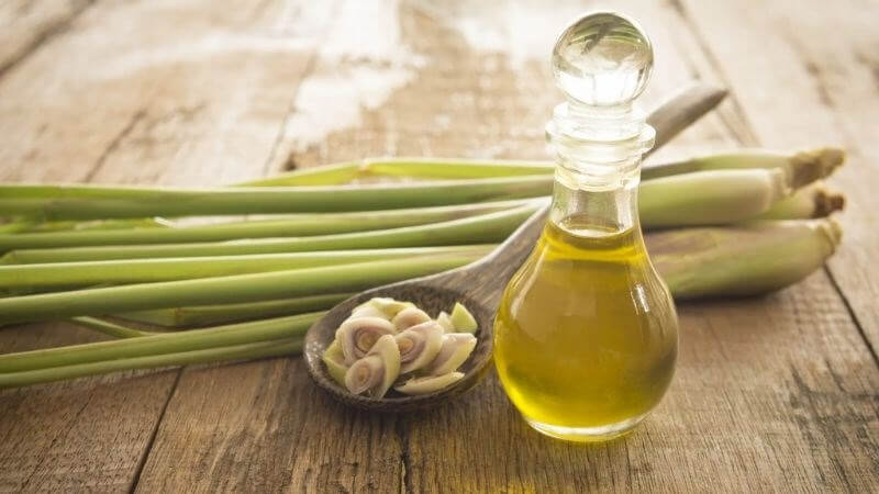 làm tinh dầu sả nguyên chất