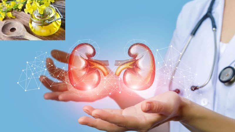 ai không nên sử dụng tinh dầu hoa anh thảo
