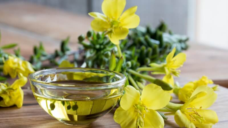 uống tinh dầu hoa anh thảo bao lâu thì ngừng