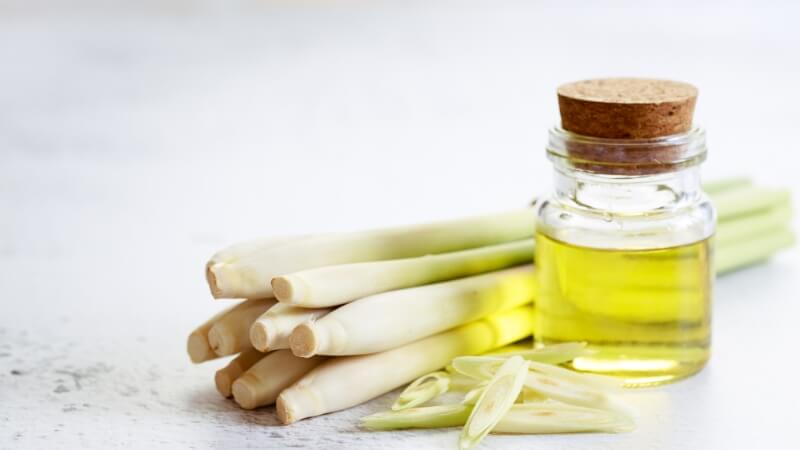 tác dụng của tinh dầu sả