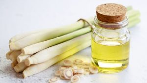 tác dụng của tinh dầu sả