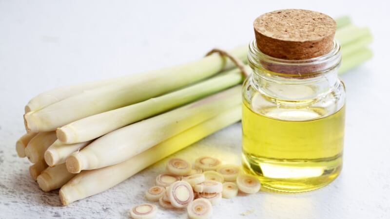 tác dụng của tinh dầu sả