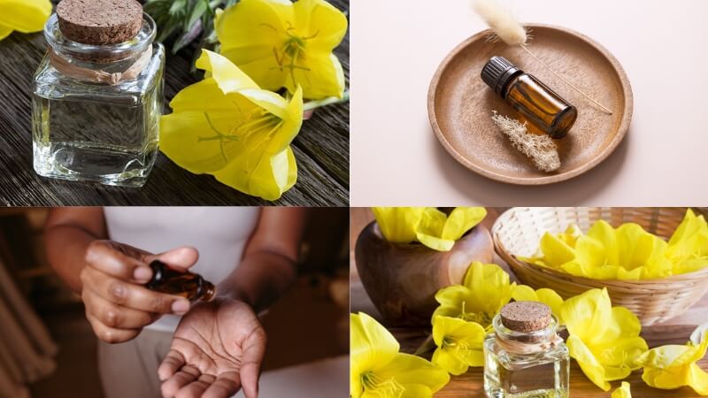 tinh dầu hoa anh thảo uống sáng hay tối