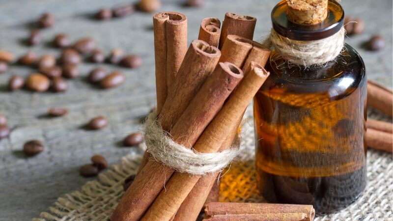 tác dụng của tinh dầu quế