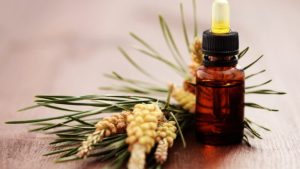 uống tinh dầu thông đỏ có giảm cân không
