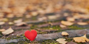 biểu hiện khi con trai yêu đơn phương