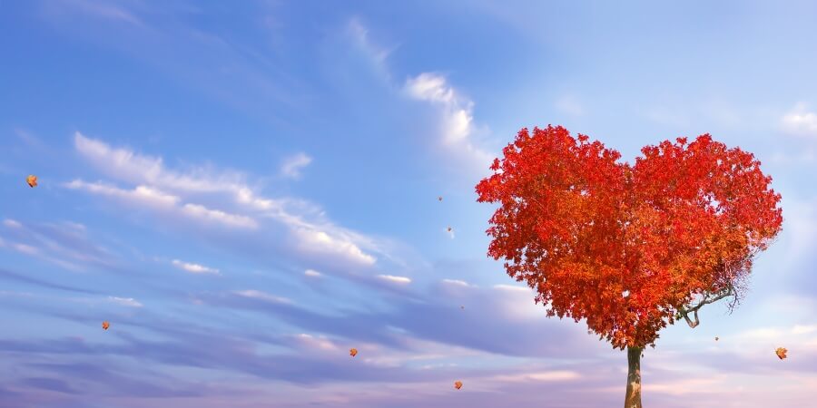 lời khuyên khi con gái yêu sớm