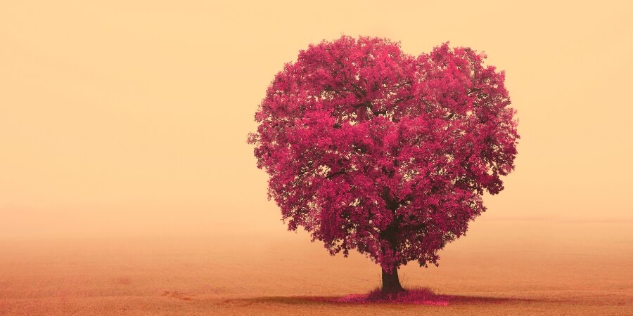 lời khuyên khi con gái yêu sớm